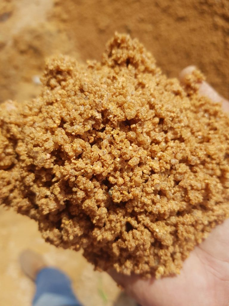 Giá cát hạt vàng lớn